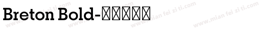 Breton Bold字体转换